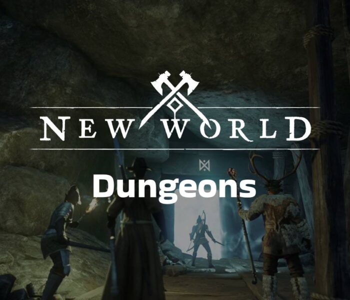 new world dungeon guide